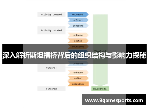 深入解析斯坦福桥背后的组织结构与影响力探秘